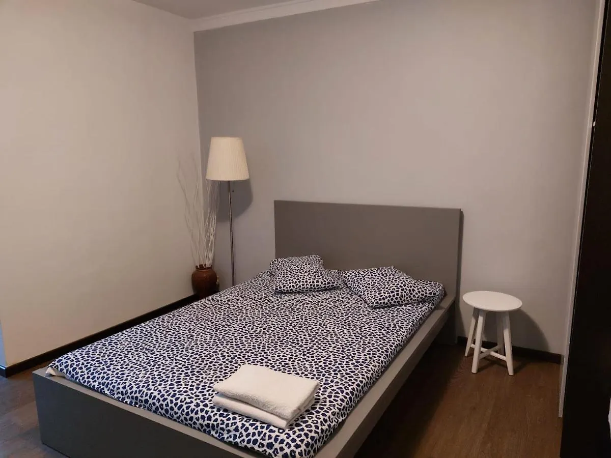 Piata Victoriei Arcul De Triumf Studio Apartment Bucharest Romania