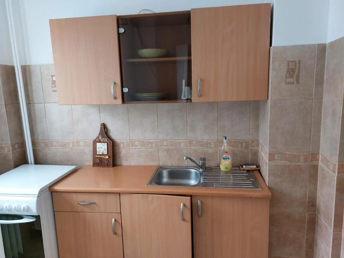 Piata Victoriei Arcul De Triumf Studio Apartment Bucharest 0*,