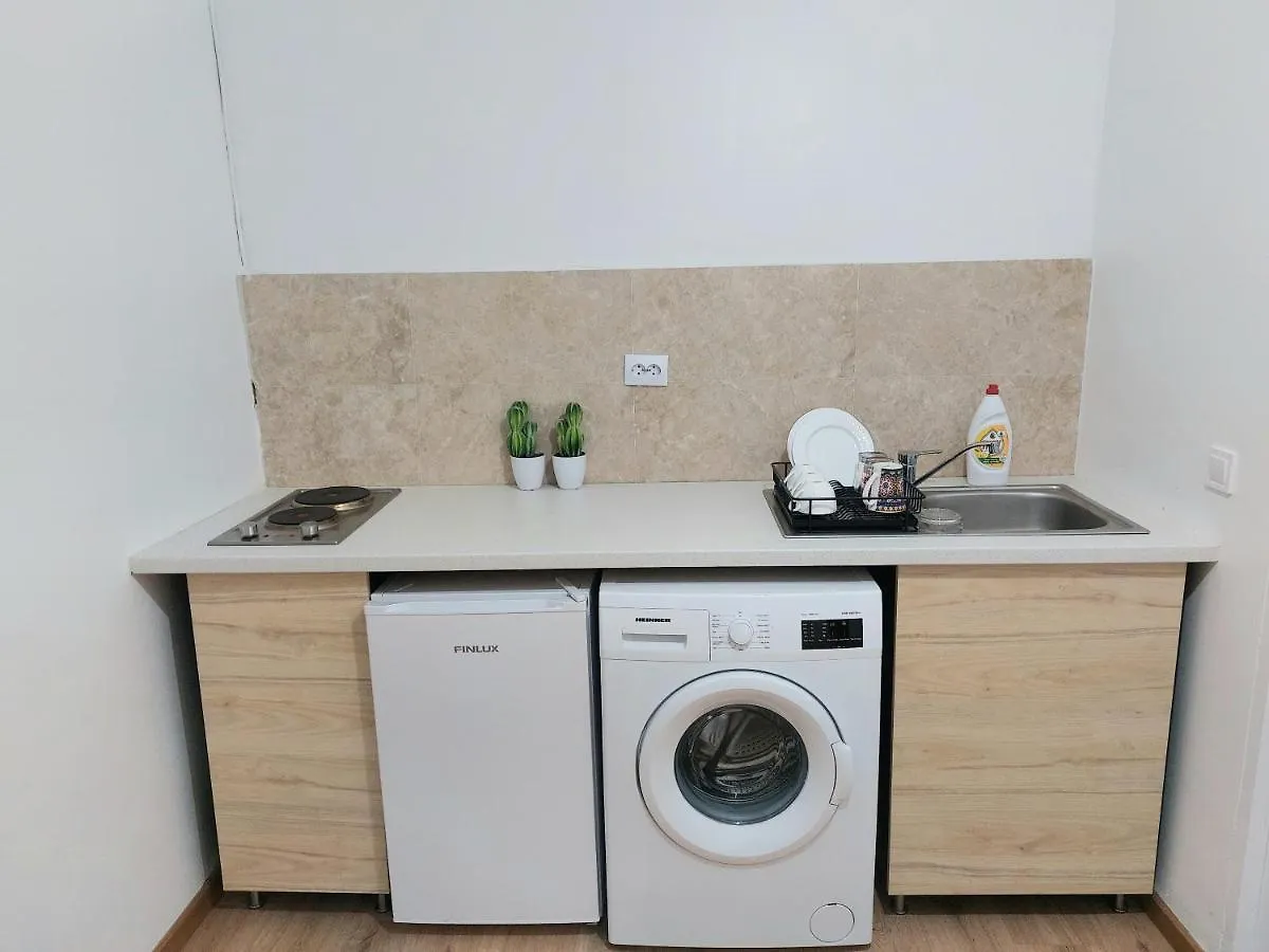 Piata Victoriei Arcul De Triumf Studio Apartment Bucharest